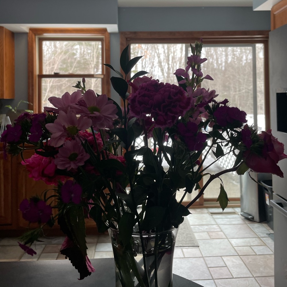 Meet your Posher, Alyssa